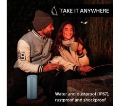 SONY SRS-XE300 Portable Bluetooth Speaker - Blue -Audio Bliss Boutique 10240141 002