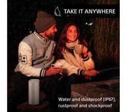 SONY SRS-XE300 Portable Bluetooth Speaker - Grey -Audio Bliss Boutique 10240173 003