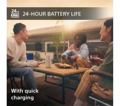 SONY SRS-XE300 Portable Bluetooth Speaker - Grey -Audio Bliss Boutique 10240173 006