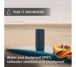 SONY SRS-XE300 Portable Bluetooth Speaker - Grey -Audio Bliss Boutique 10240173 007