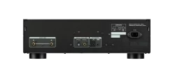Denon DCD-A110 Super Audio CD SACD Player (110th Anniversary Edition) -Audio Bliss Boutique 1658 dn dcd a110 gallery rear 1920x800 e6ca32ea 866c 4dad a3ad a41ef390d951