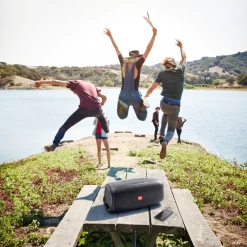 JBL BassPro Go In-vehicle Powered Sub & Portable Bluetooth Speaker -Audio Bliss Boutique JBL BASSPRO GO PICNIC TABLE CROP x2 45acae98 d54f 4888 a100 f03dcb70b066