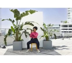 BEATS Flex Wireless Bluetooth Earphones - Beats Black -Audio Bliss Boutique M10217074 black 015