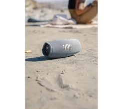 JBL Charge 5 Portable Bluetooth Speaker - Grey 30 JBL Charge 5 Portable Bluetooth Speaker - Grey -Audio Bliss Boutique M10221764 silver grey 011