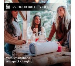 SONY SRS-XG300 Portable Bluetooth Speaker - Grey 16 SONY SRS-XG300 Portable Bluetooth Speaker - Grey -Audio Bliss Boutique M10240148 grey 002