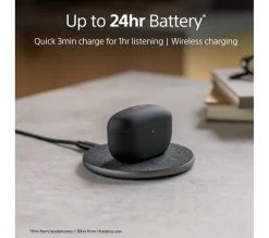 SONY WF-1000XM5 Wireless Bluetooth Noise-Cancelling Earbuds - Black -Audio Bliss Boutique M10251045 black 003