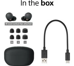 SONY WF-1000XM5 Wireless Bluetooth Noise-Cancelling Earbuds - Black -Audio Bliss Boutique M10251045 black 010