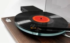 Rega Planar 3 Turntable - 50th Anniversary Edition 26 Rega Planar 3 Turntable - 50th Anniversary Edition -Audio Bliss Boutique PL3 50th gallery11 2