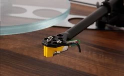 Rega Planar 3 Turntable - 50th Anniversary Edition 20 Rega Planar 3 Turntable - 50th Anniversary Edition -Audio Bliss Boutique PL3 50th gallery5 1