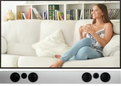 Totem Tribe Duo Solution Bar Speaker (Each)