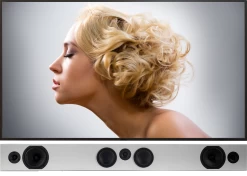 Totem Tribe Trio Solution Bar Speaker (Each)