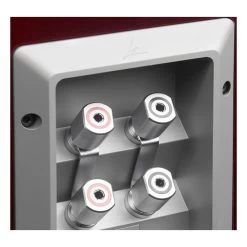 TRIANGLE - Signature Alpha - Hi-Fi Floorstanding Speakers (Pair) -Audio Bliss Boutique triangle signature alpha floorstanding speakers connections